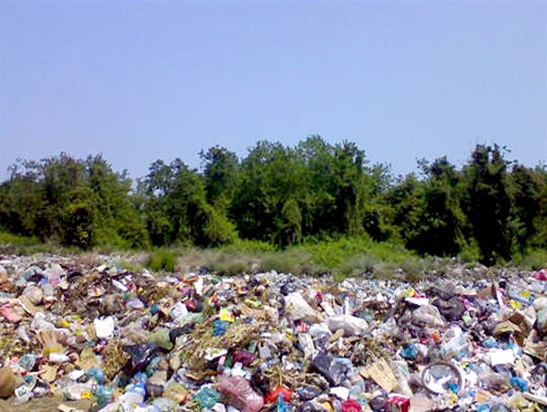انجیلسی