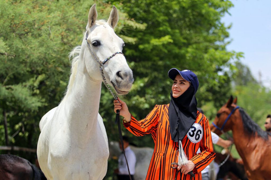 جشنواره زیبایی اسب اصیل ترکمن