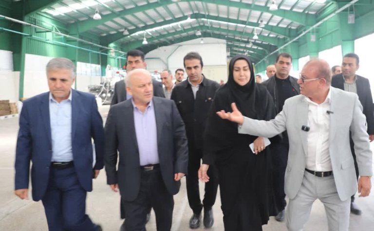 بازدید استاندار مازندران از شهرک صنعتی بشل