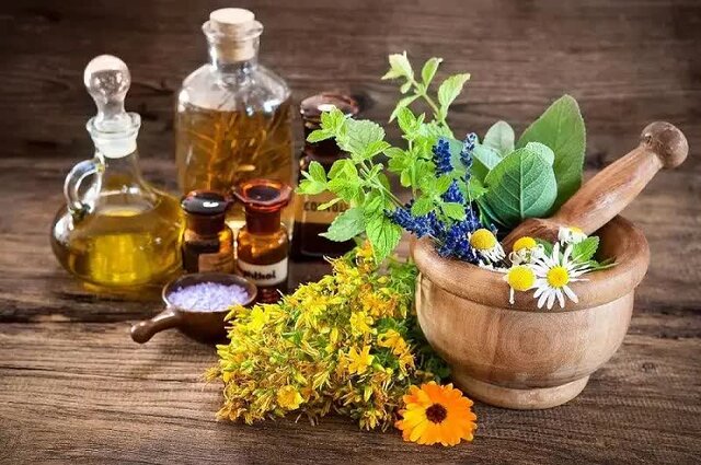 گیاهان دارویی گلستان