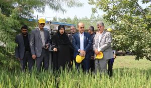 بازدید استاندار گیلان