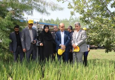 بازدید استاندار گیلان