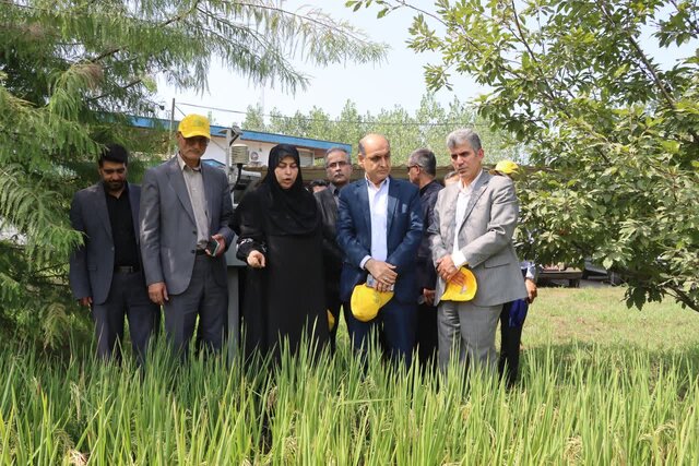 بازدید استاندار گیلان