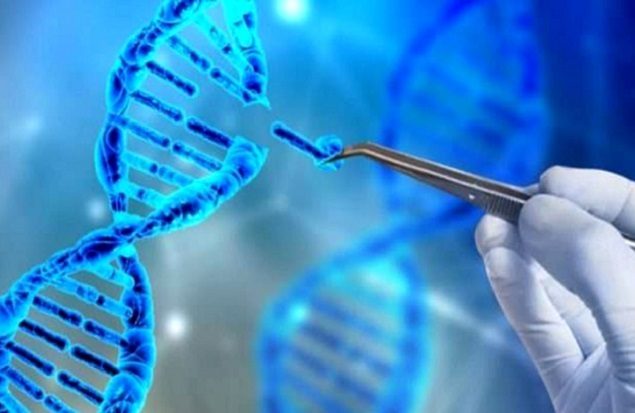 مراکز ژن درمانی