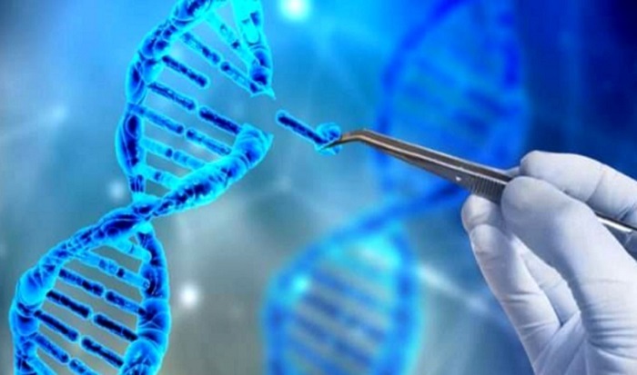 مراکز ژن درمانی